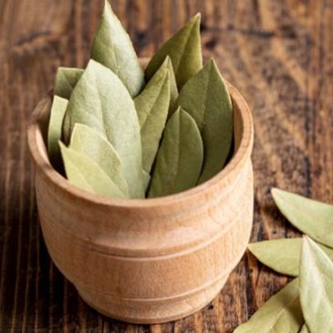 Bay Leaves