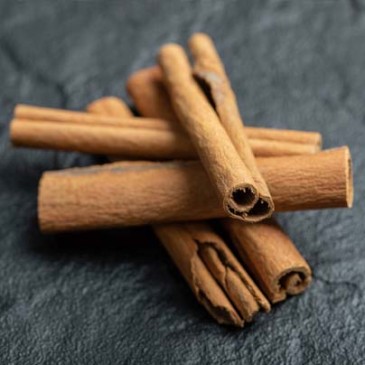Cinnamon Stick