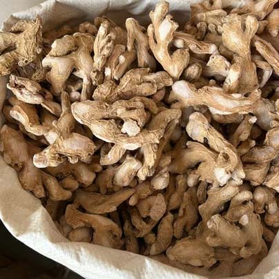 Dried Ginger